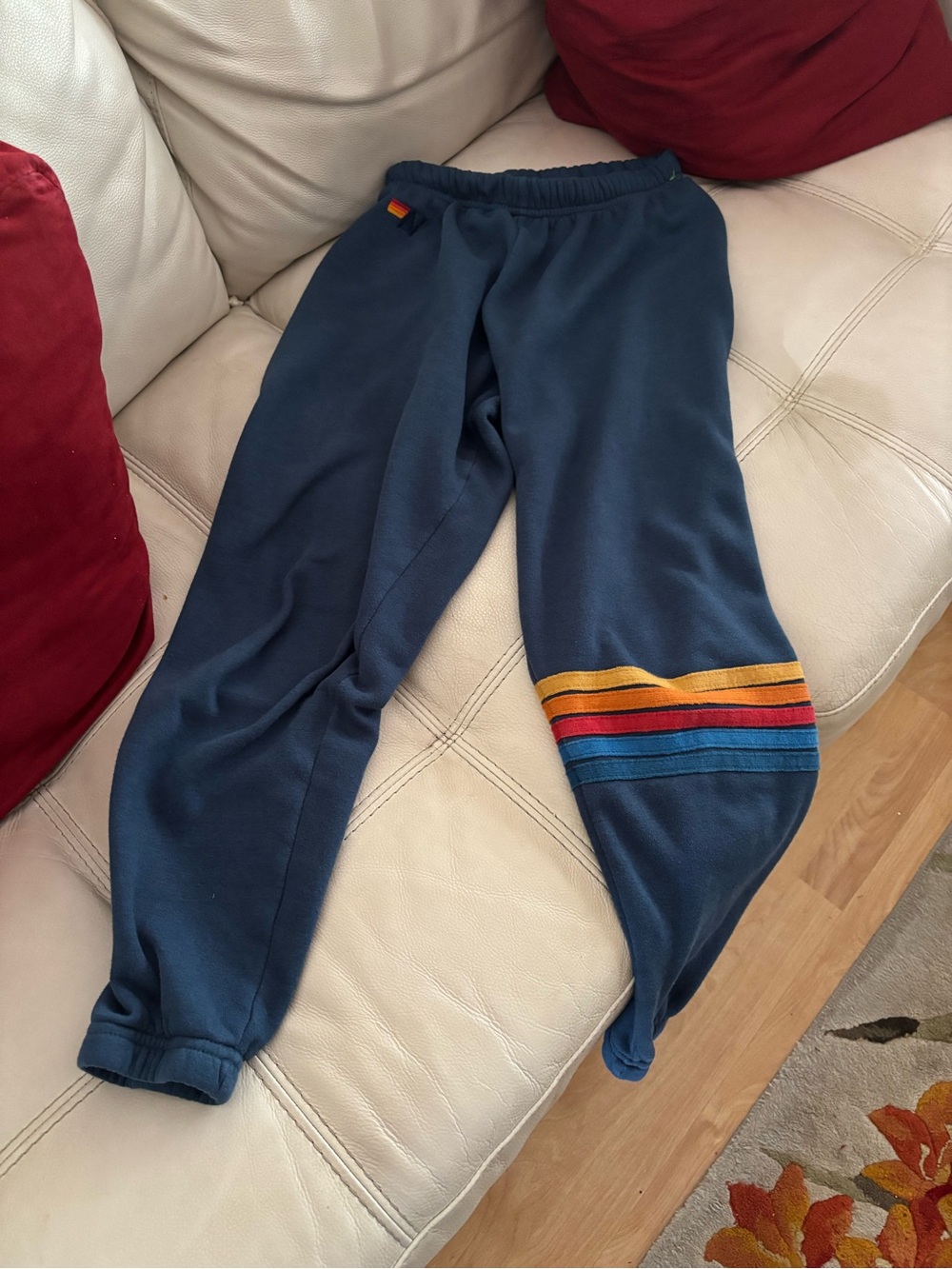 Aviator Nation Navy Sweatpants with Rainbow Stripes